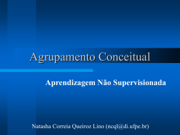 Agrupamento Conceitual - Centro de Inform&aacute;tica da UFPE