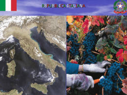 apresenta&ccedil;&atilde;o vinhos italianos