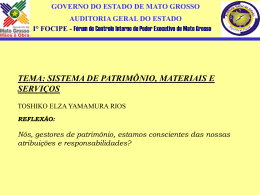 e) OUTROS. GOVERNO DO ESTADO DE MATO GROSSO