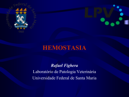 Hemostasia - Rafael Fighera