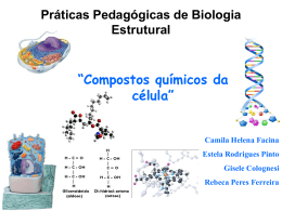 Práticas Pedagógicas de Biologia Estrutural “Compostos químicos