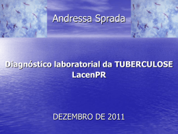 Dados Tuberculose 2011
