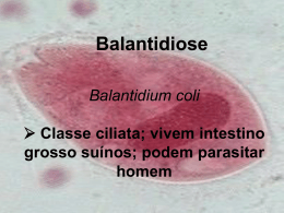 Balantidiose