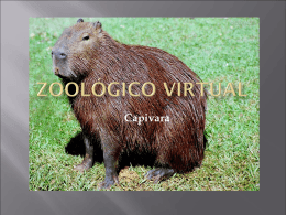 ZoologicoVirtual_Gabriel_Eduardo