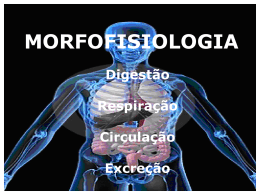 140618240915_Morfofisiologia