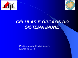 Aula Tecidos Linfóides- 13-03-2012