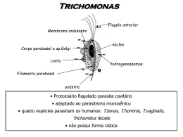 Trichomonas - GEOCITIES.ws