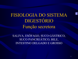 FISIOLOGIA DO SISTEMA DIGESTÓRIO Função secretora