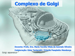 Complexo de Golgi