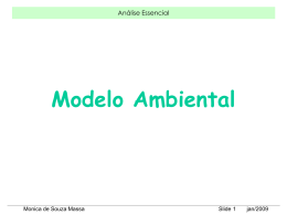 An&aacute;lise essencial Modelo ambiental
