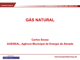 ALTERNATIVE FUELS AND VEHICLES www.transportlearning.net