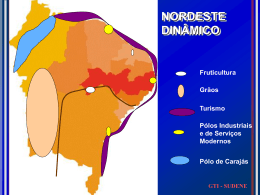 SUDENE NORDESTE : arranjos produtivos