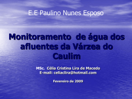 (1) Diretor responsável da EE Paulino Nunes Esposo