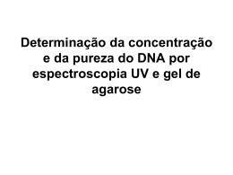 Determina&ccedil;&atilde;o da concentra&ccedil;&atilde;o e da pureza do DNA por