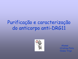 Purificação e caracterização do anti-DRG11
