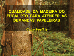 qualidade da madeira do eucalipto para atender as demandas