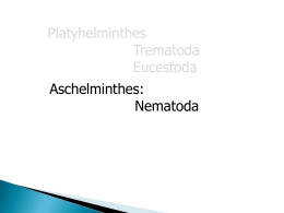 Nematoides intestinais/Filárias