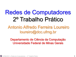 Redes de Computadores 2º Trabalho Prático Antonio Alfredo
