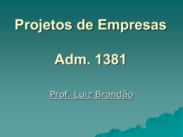 Projetos de Empresas Adm. 1381 Prof. Luiz Brandão SUA CASA