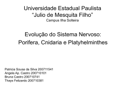 Universidade Estadual Paulista “Julio de Mesquita Filho” Campus