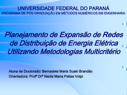 Bernadete2008 - Universidade Federal do Paraná