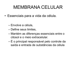 De que &eacute; feita a membrana?
