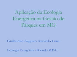 Aplica&ccedil;&atilde;o da Ecologia Energ&eacute;tica na Gest&atilde;o de Parques em MG