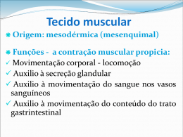 Tecido muscular liso - Universidade Castelo Branco