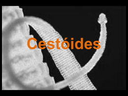 Características gerais dos cestóides