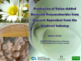 Produção por via microbiana de biopolímeros a partir de glicerol