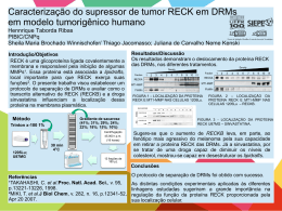 Caracterização do supressor de tumor RECK em DRMs