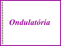 Revis&atilde;o -8- Ondulat&oacute;ria