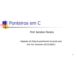 int *ponteiro