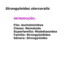 Strongyloides
