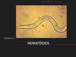 nematóides - Comunidades.net