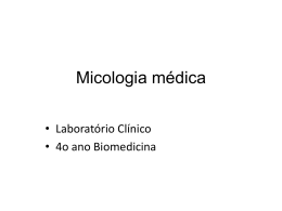Microsporum