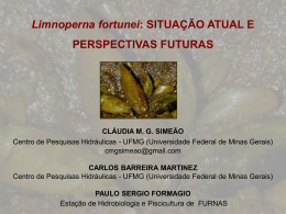 paulo sergio formagio - CPH - Universidade Federal de Minas Gerais