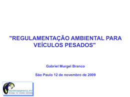 SEMINCARGA2009REGULAMBIENTALVEICPESADO