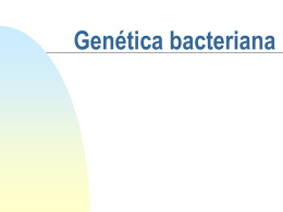 Genetica bacteriana 1