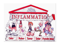 inflamação aguda