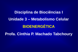 T08 - Bioenergética