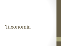 Taxonomia E DOMÍNIOS