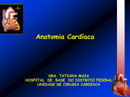 Anatomia cardíaca Sistema cardionector Circulação