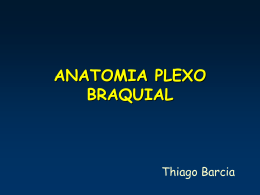 anatomia plexo braquial