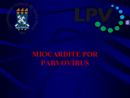 Miocardite por parvovírus