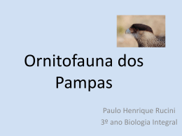 Ornitofauna dos Pampas
