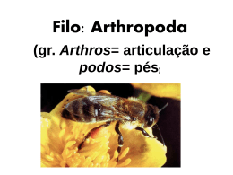 Filo: Arthropoda