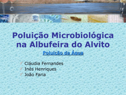 Poluicao_Microbiologica_Final