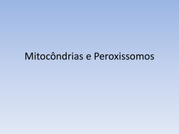 Mitocôndrias e Peroxissomos