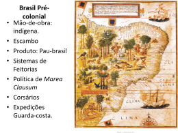 Brasil Pré-colonial